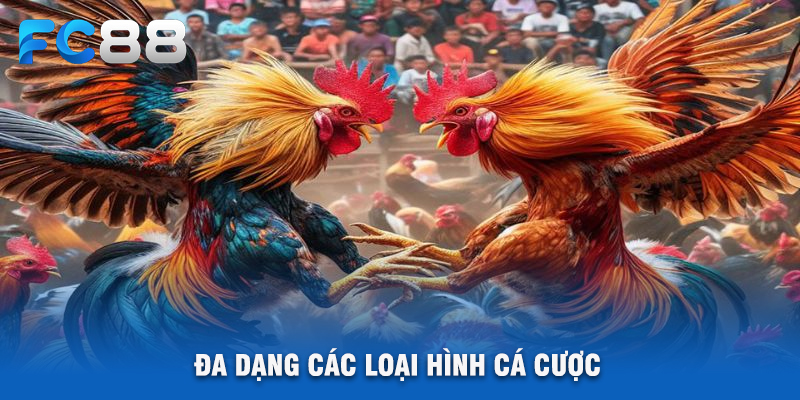 Đa Dạng Các Loại Hình Cá Cược